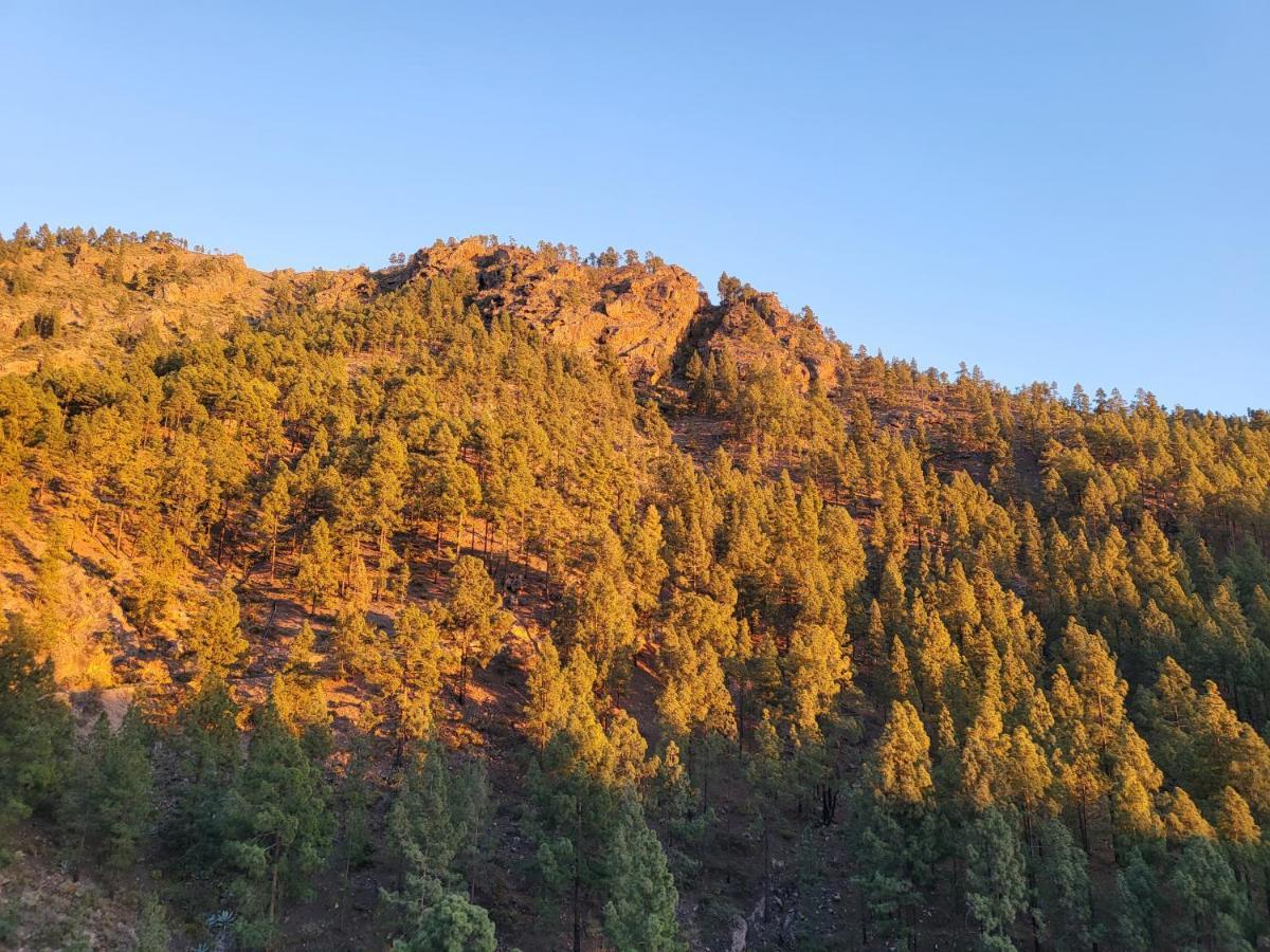 Casa Rural Los Pinares El Juncal De Tejeda Екстер'єр фото