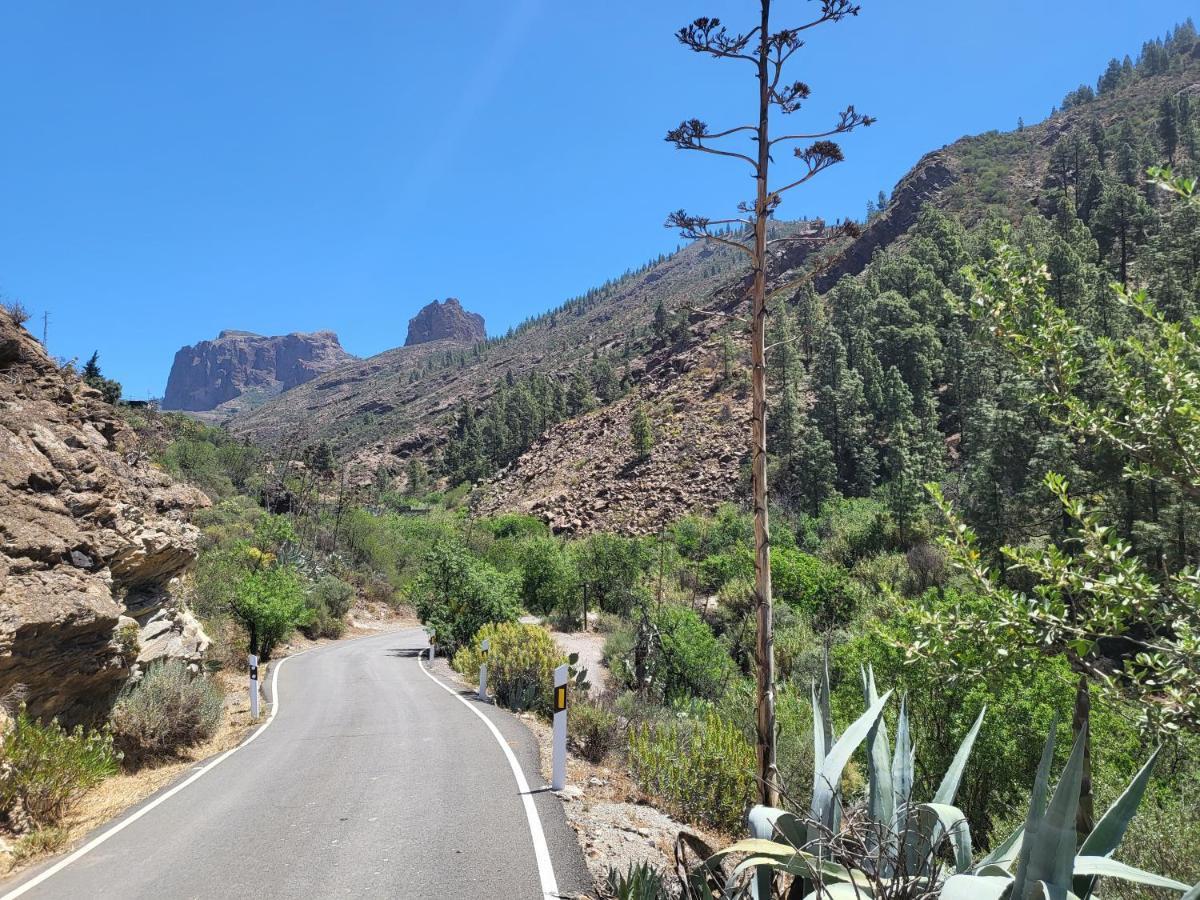 Casa Rural Los Pinares El Juncal De Tejeda Екстер'єр фото