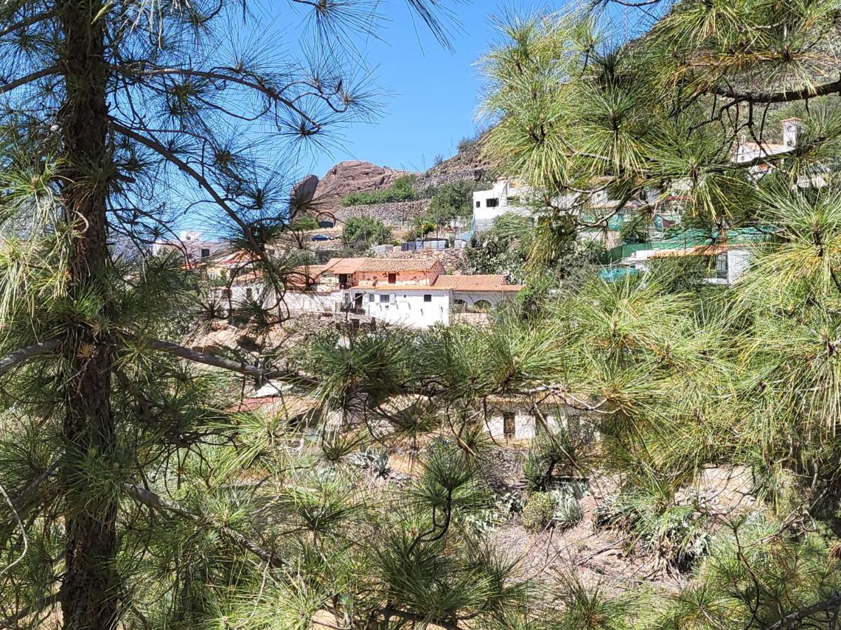 Casa Rural Los Pinares El Juncal De Tejeda Екстер'єр фото