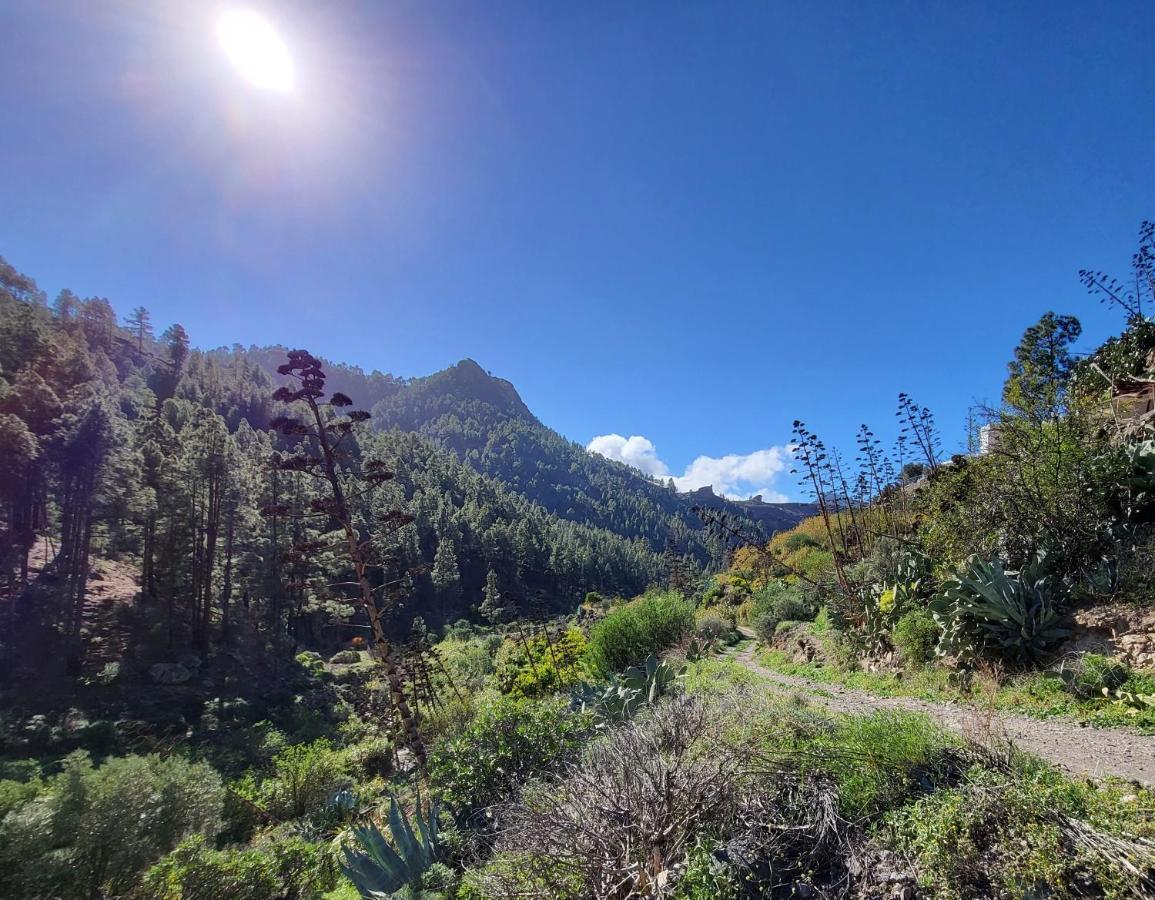 Casa Rural Los Pinares El Juncal De Tejeda Екстер'єр фото