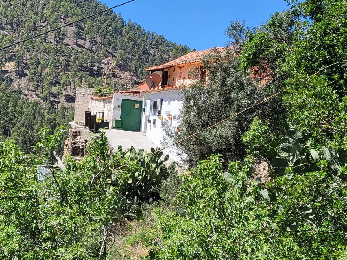 Casa Rural Los Pinares El Juncal De Tejeda Екстер'єр фото