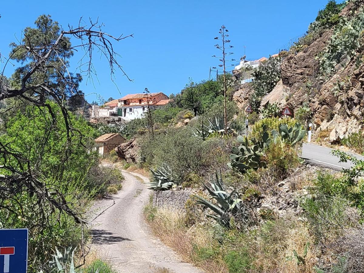 Casa Rural Los Pinares El Juncal De Tejeda Екстер'єр фото