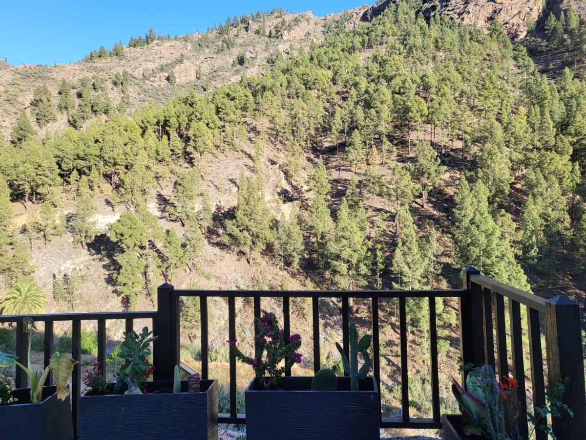 Casa Rural Los Pinares El Juncal De Tejeda Екстер'єр фото