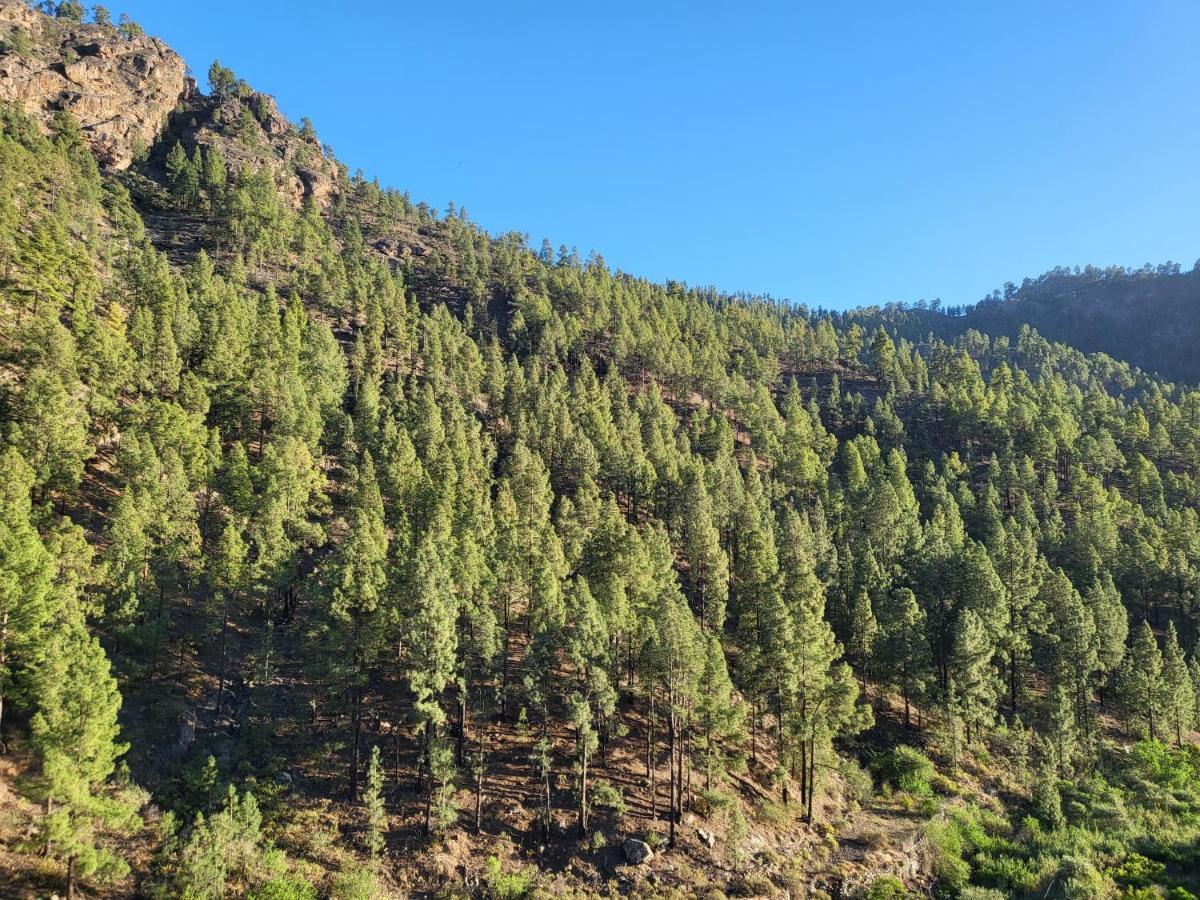 Casa Rural Los Pinares El Juncal De Tejeda Екстер'єр фото