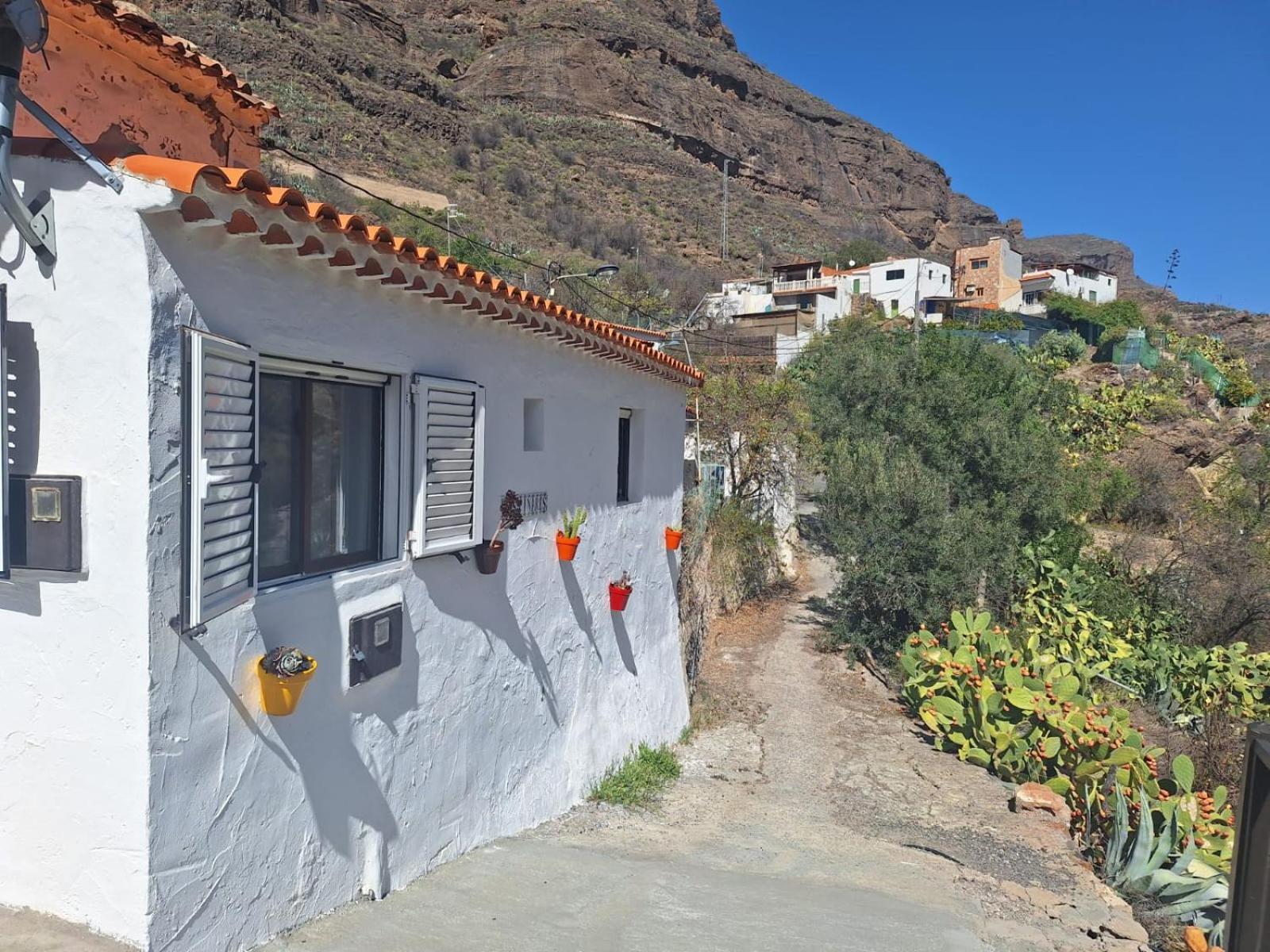 Casa Rural Los Pinares El Juncal De Tejeda Екстер'єр фото