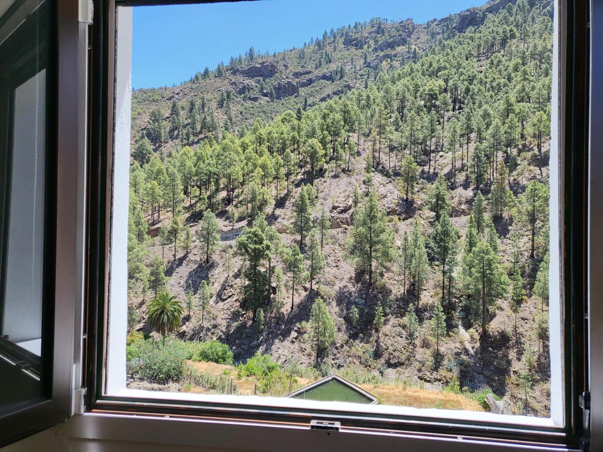 Casa Rural Los Pinares El Juncal De Tejeda Екстер'єр фото